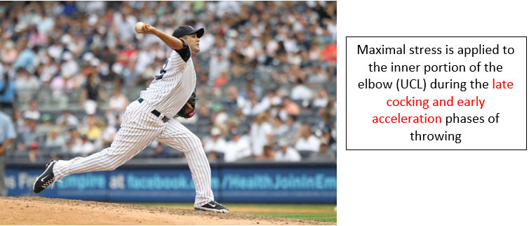 The Throwing Athlete